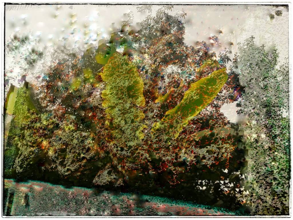 Photo retouchée - Bananier Mural