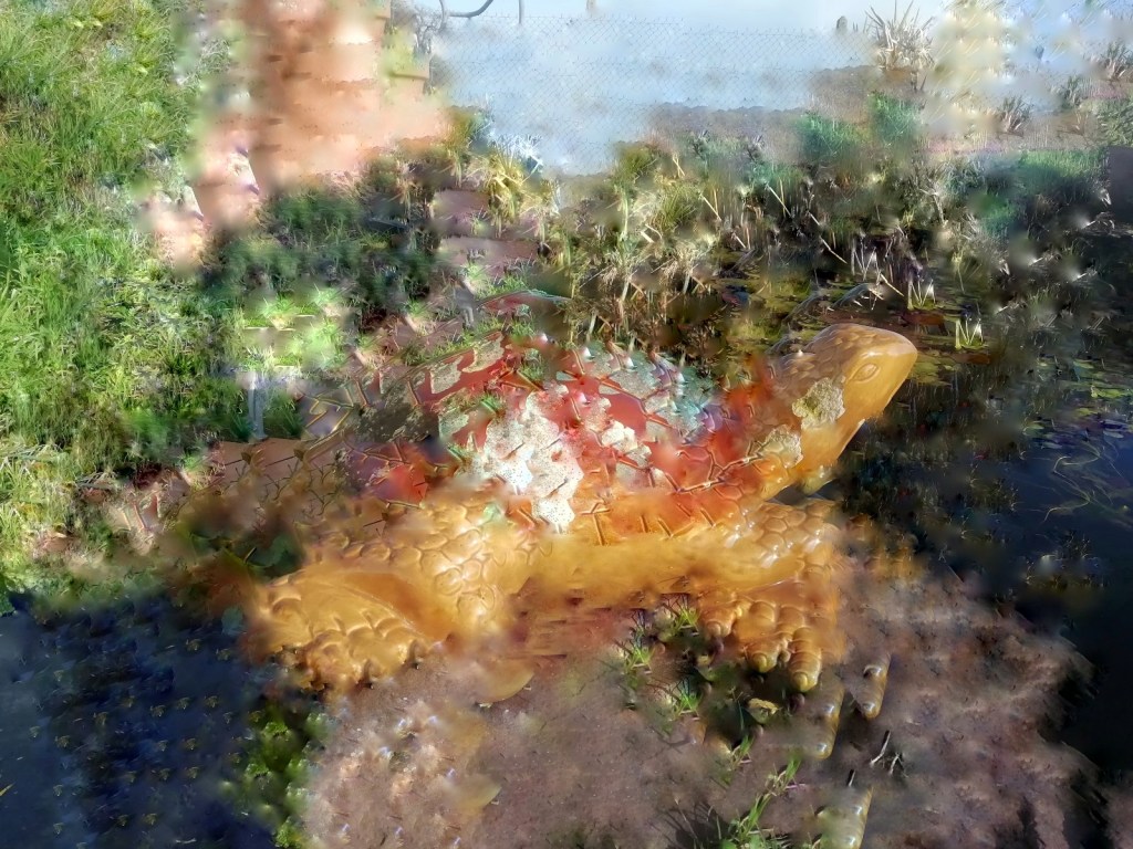 Photo retouchée - Tortue du Blayais