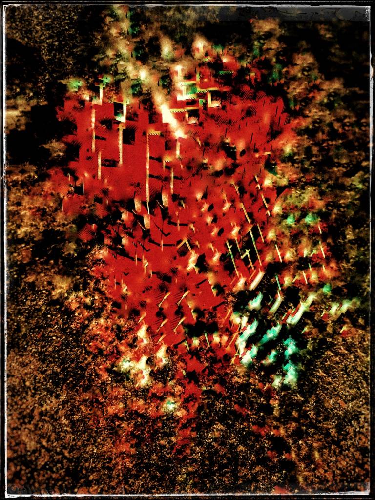 Photo retouchée - Gobe Laids