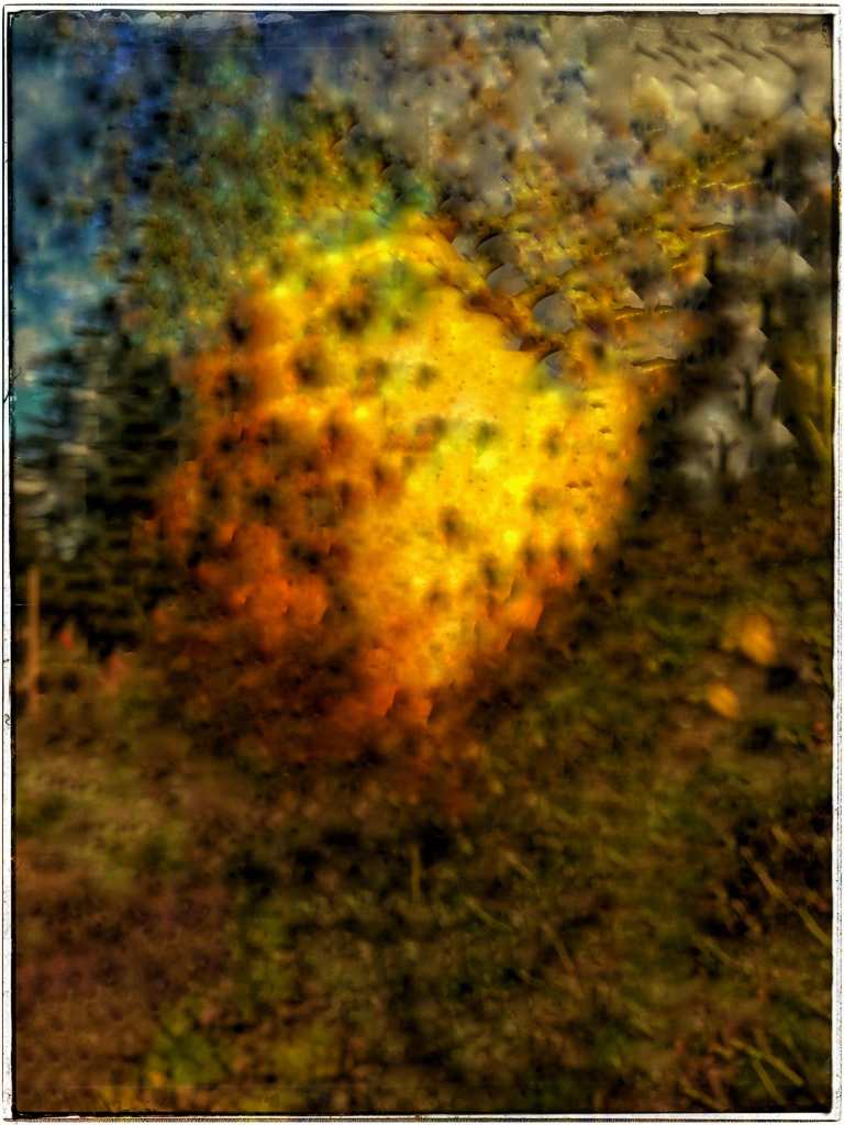 Photo Retouchée - Citrus