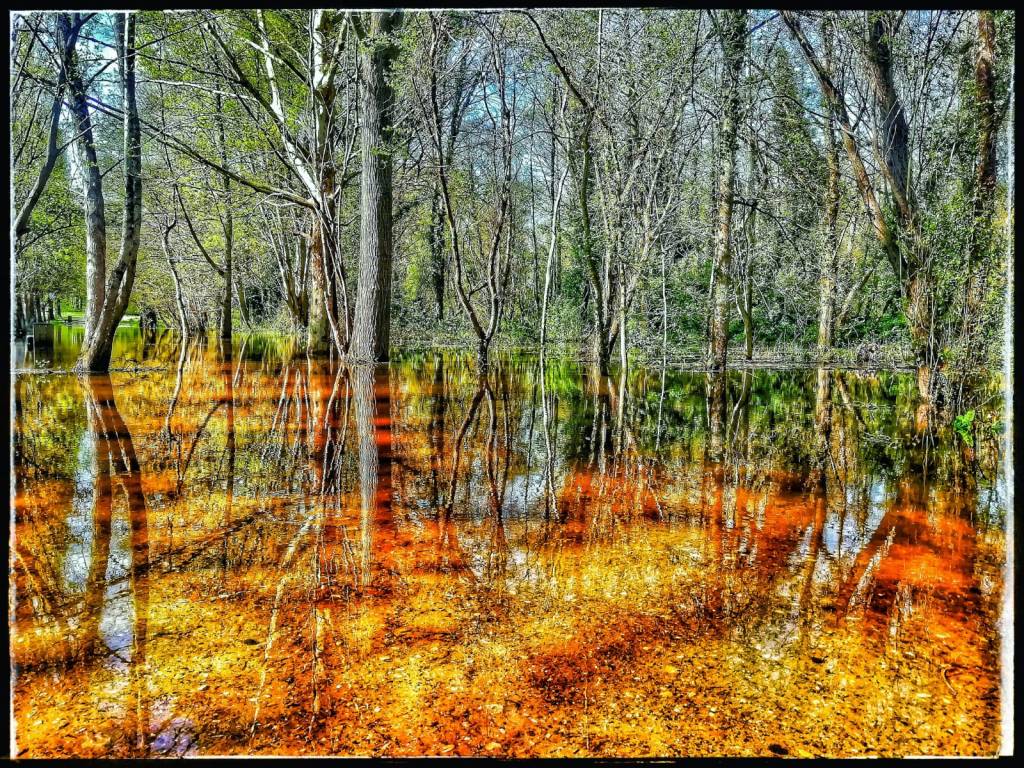 Photo retouchée - Crue à Mussonville III