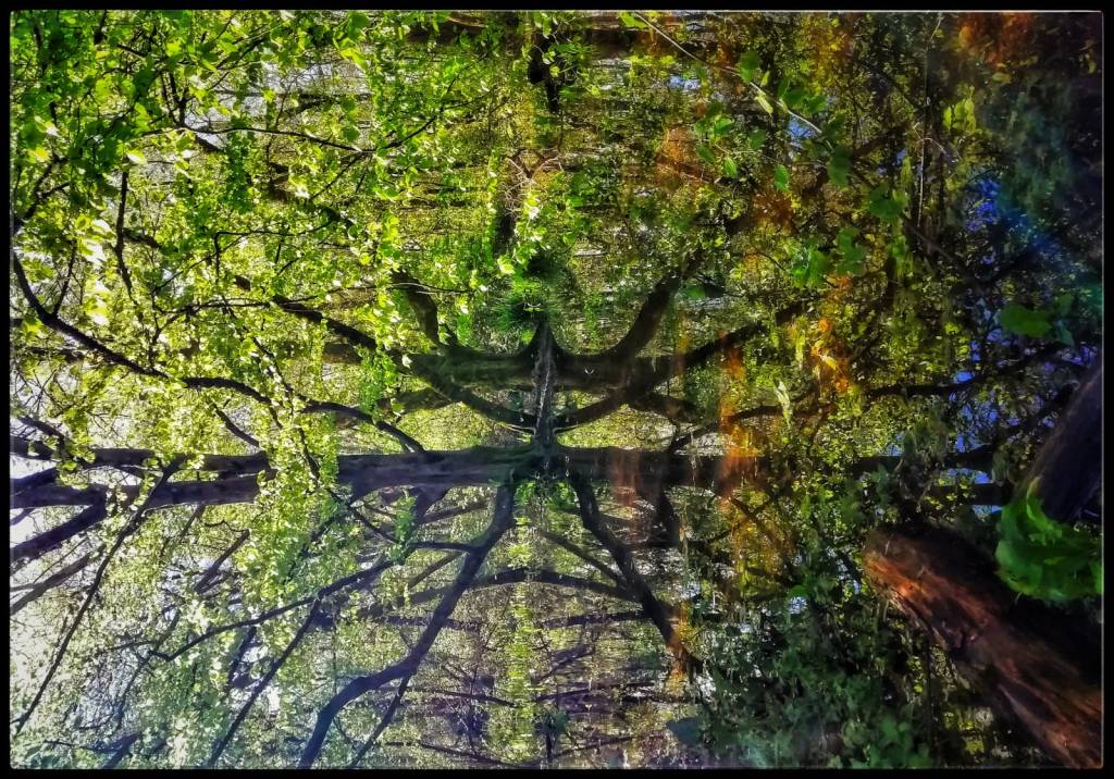 Photo retouchée - Crue à Mussonville VI