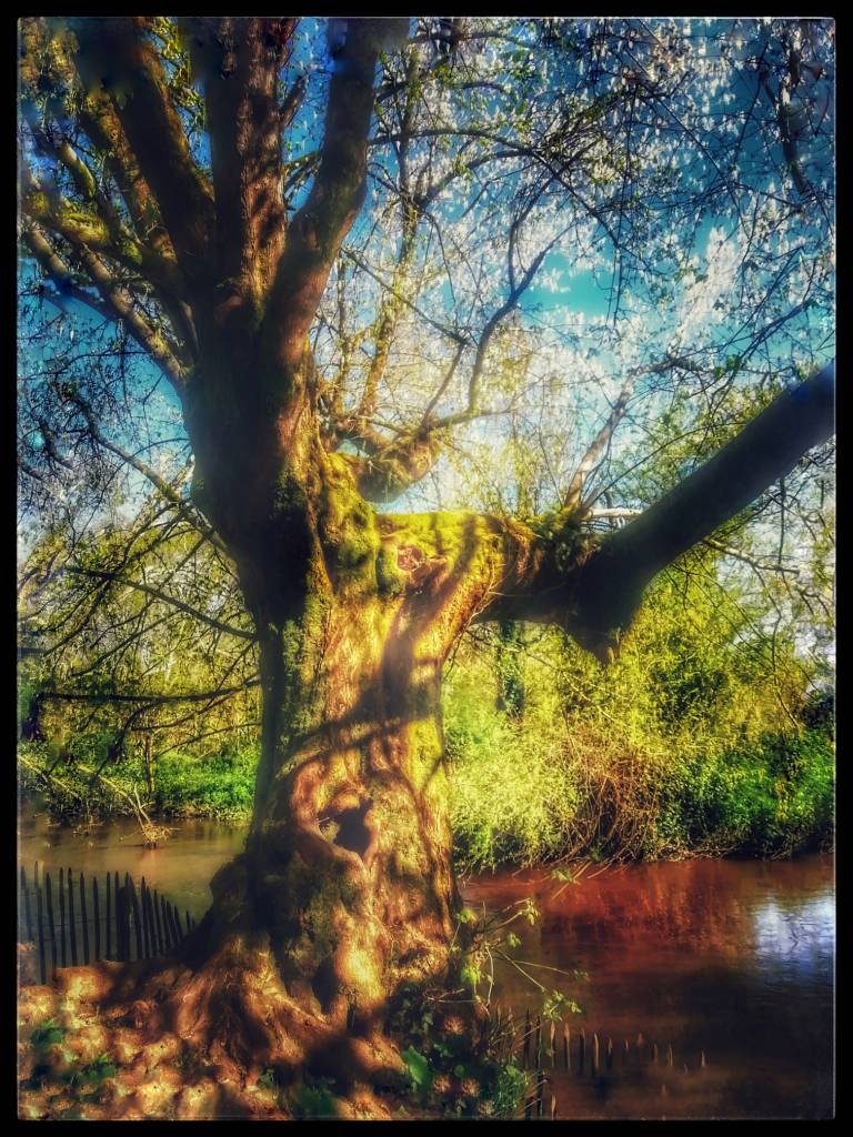 Photo retouchée - Crue à Mussonville VII