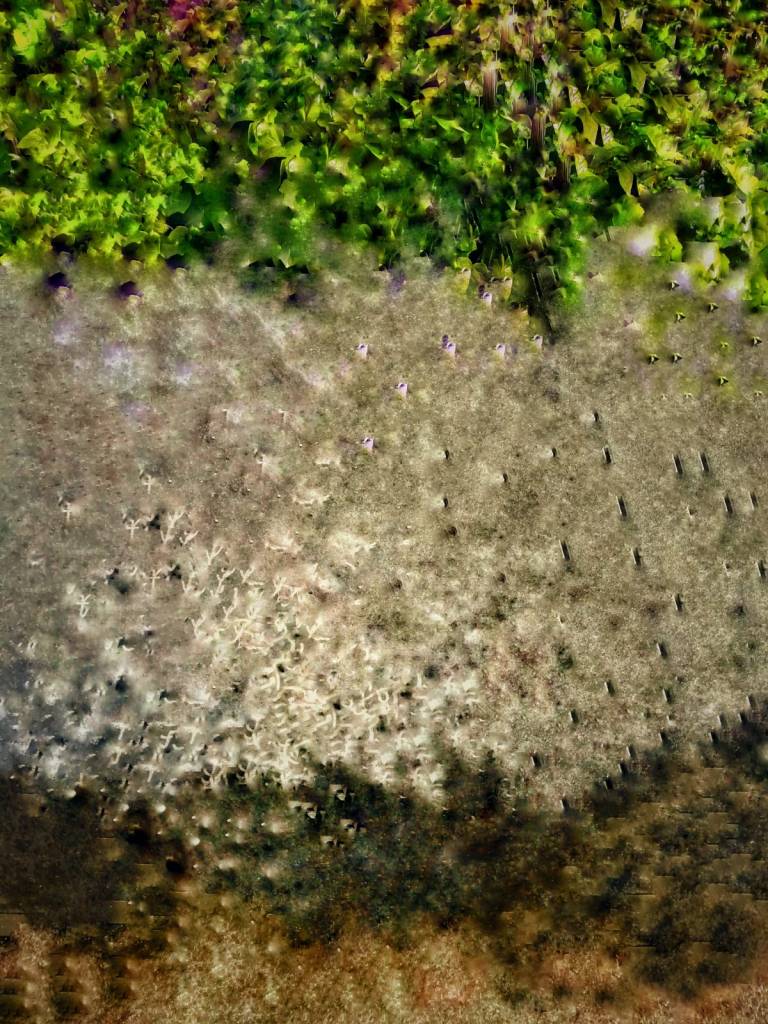 Photo retouchée - P. Berland