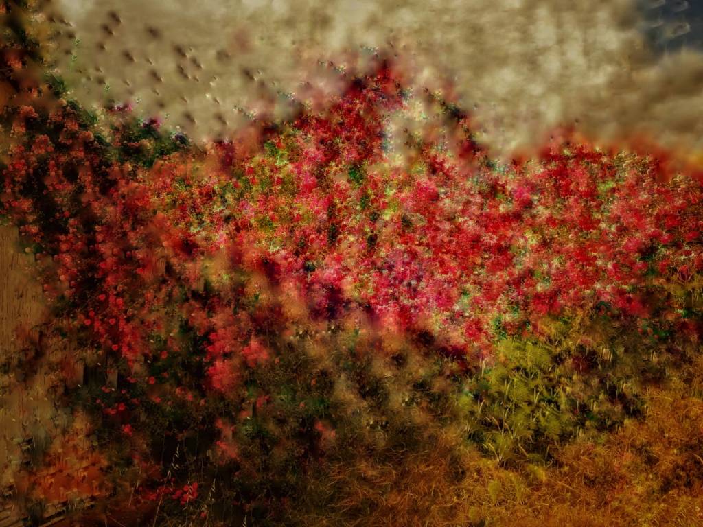 Photo retouchée - Les Roses de la Mamma