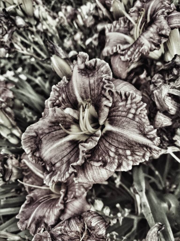 Photo retouchée - "Un peu triste" II