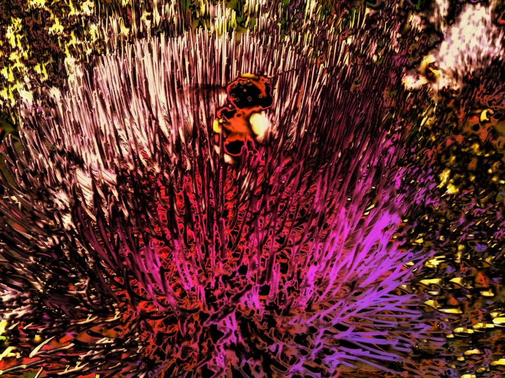 Photo retouchée - Bzzzzz