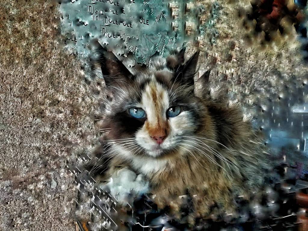 Photo retouchée - Vénus