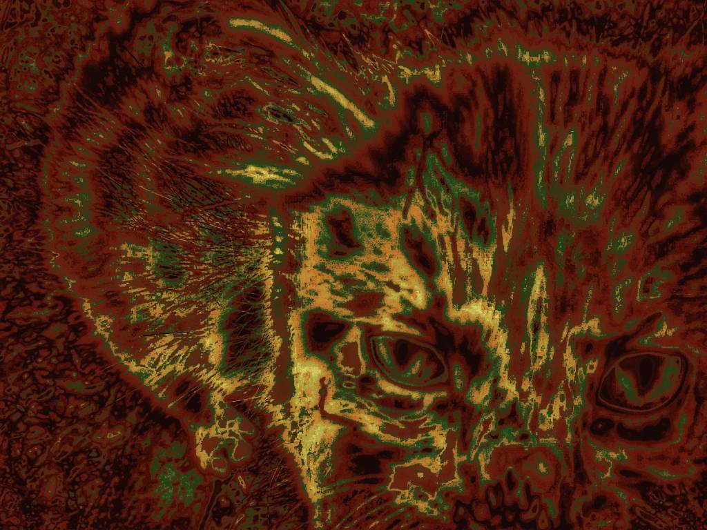 Photo retouchée - Chat de la Mort I