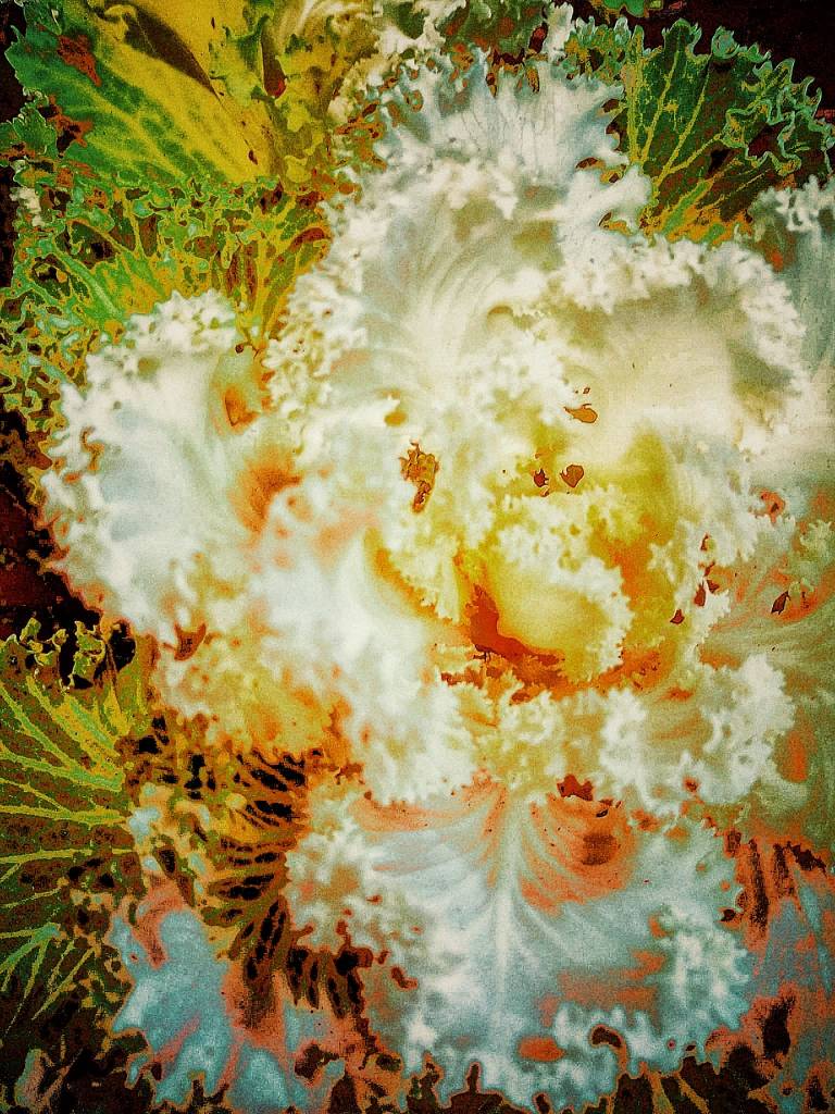 Photo retouchée - Éruption Végétale ! - D'après photo originale d'Isba Photo