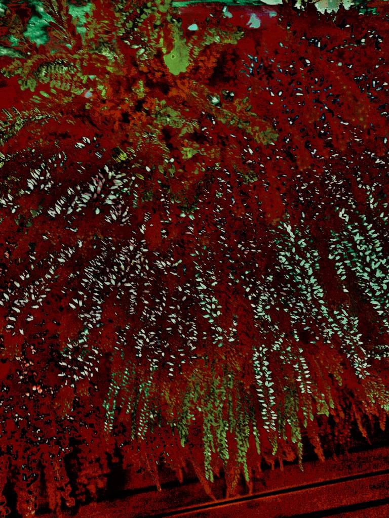 Photo retouchée - Pyrotechnie - D'après photo originale d'Isba Photo