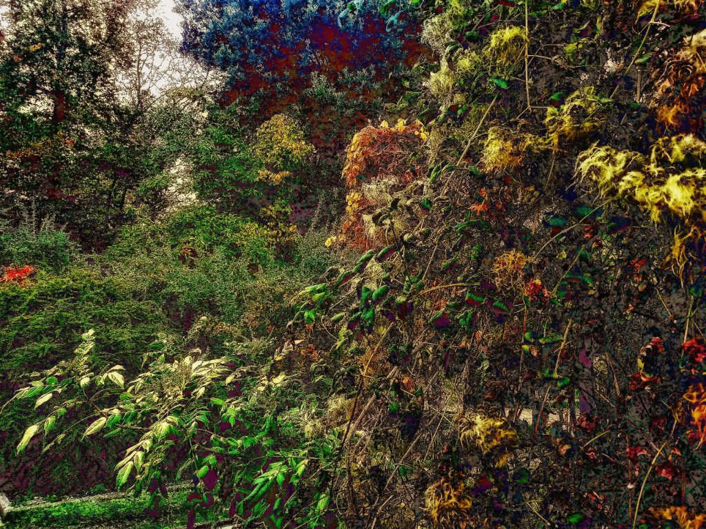 Photo retouchée - Orgone I