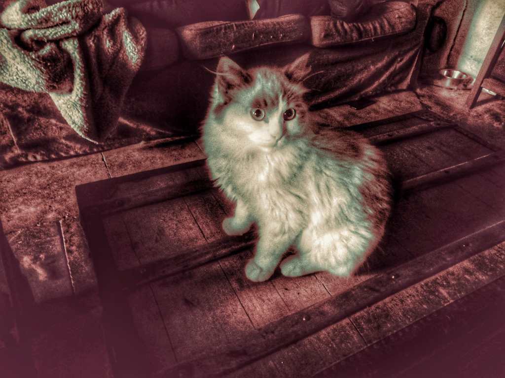 Photo retouchée - Aphrodite