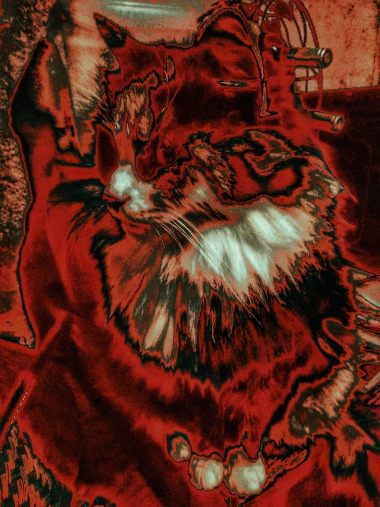 Photo retouchée - Chat de l'Enfer