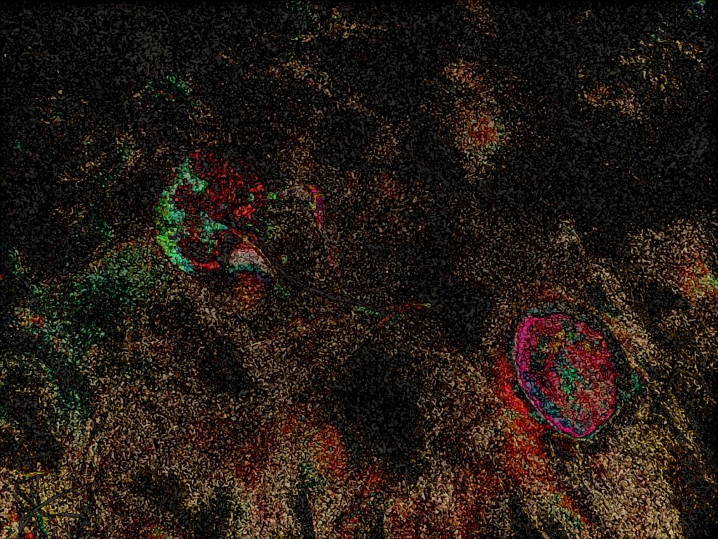 Photo retouchée - Choses Inconnues sur une Plage Connue