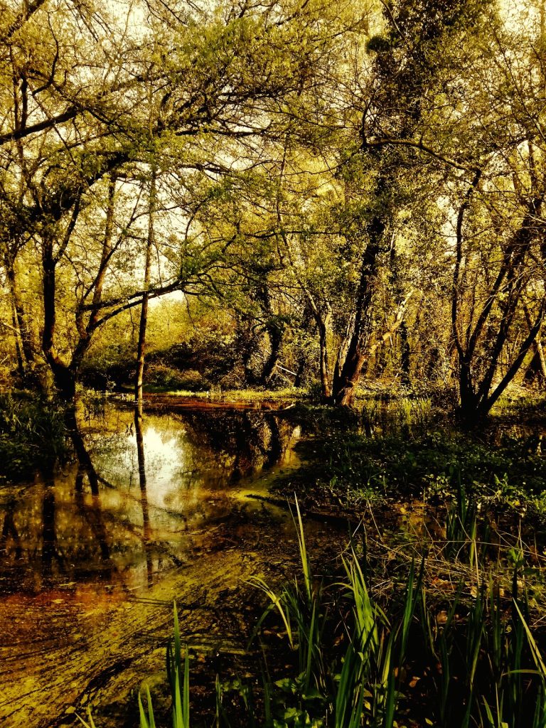 Photo retouchée - Crue à Mussonville I