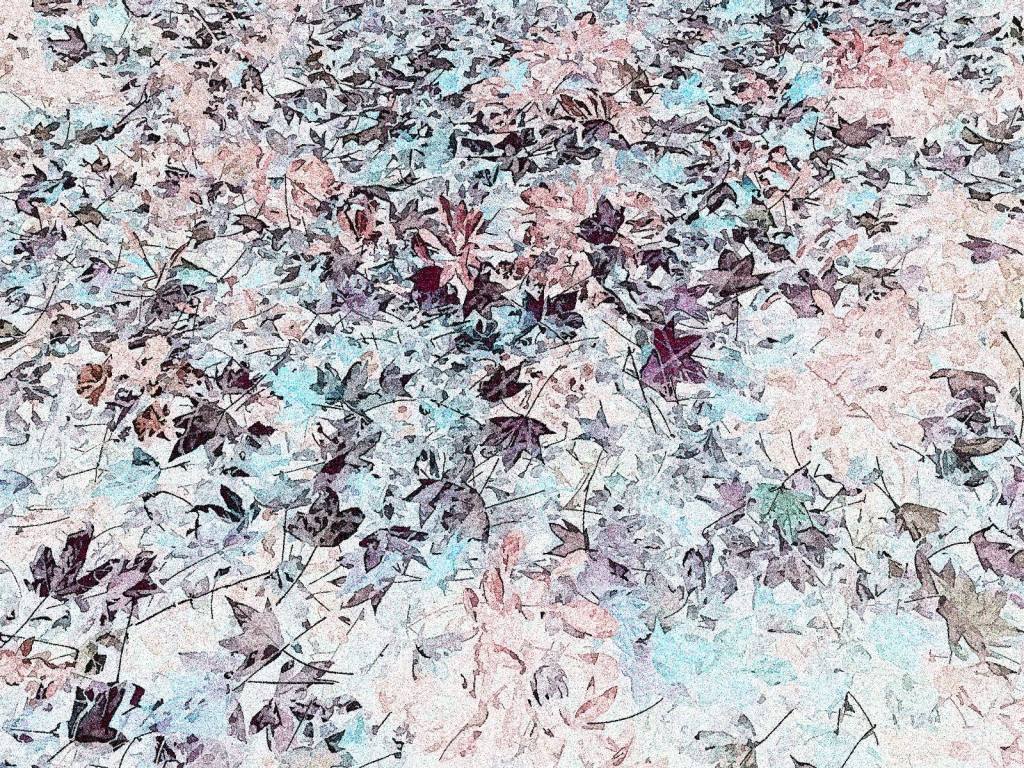 Photo retouchée - Feuilles... Multitude... Solitude...