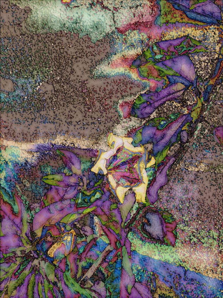 Photo retouchée - Fleur Rare