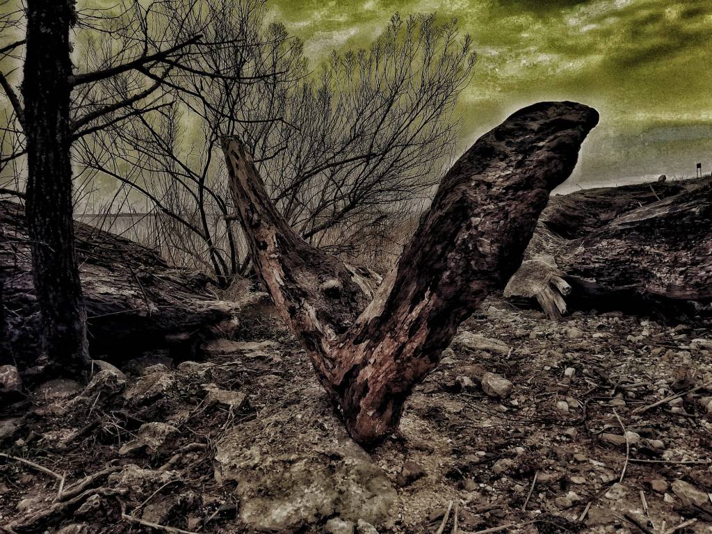 Photo retouchée - L’ange de l’Estuaire