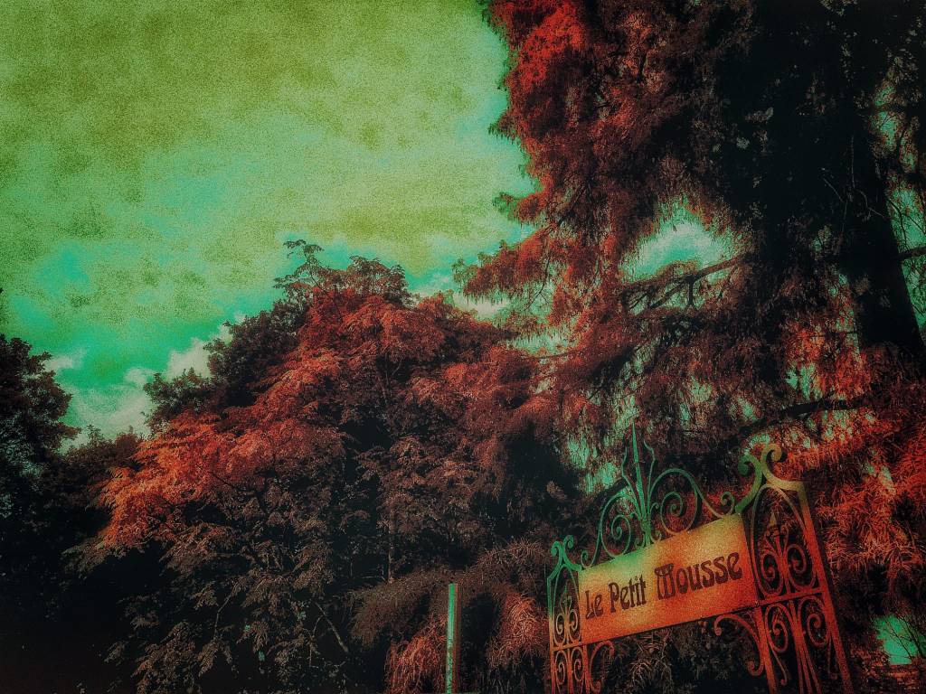 Photo retouchée - Le Titre est dans la Photo