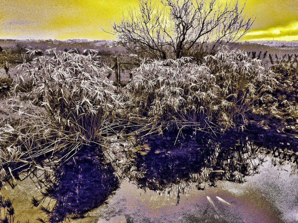 Photo retouchée - Mare