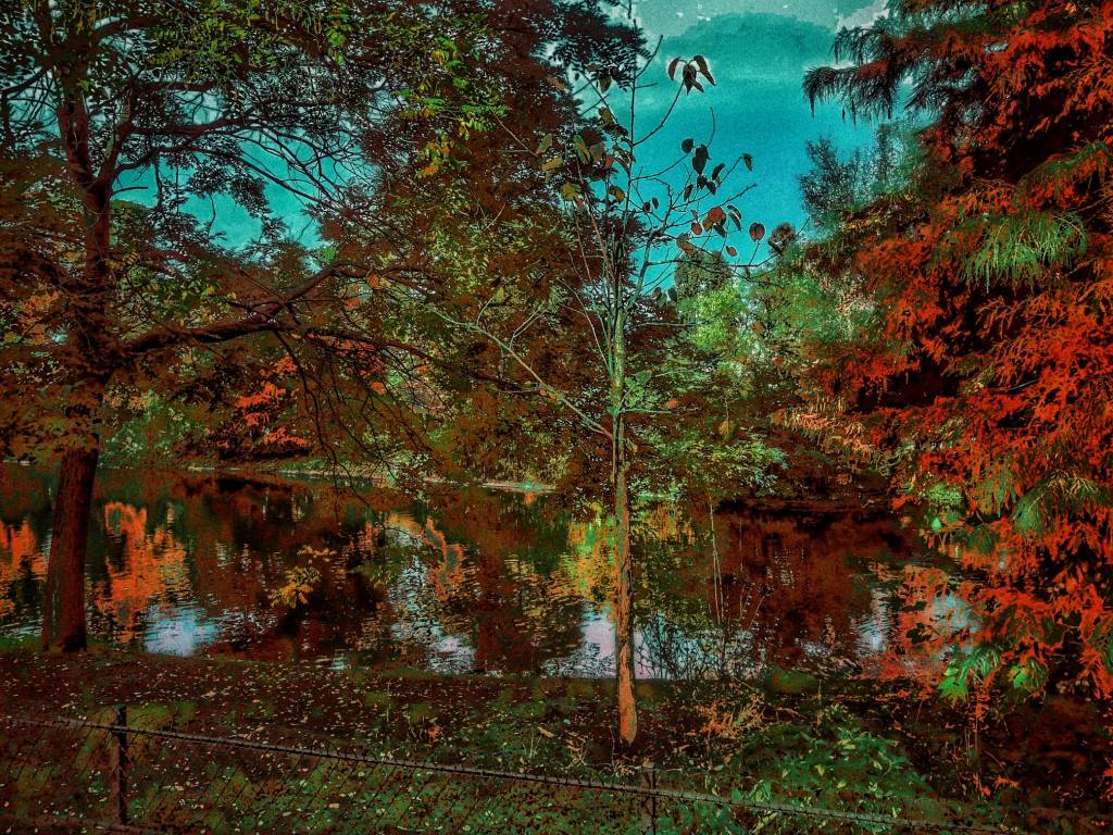 Photo retouchée - Nature Pas Morte...