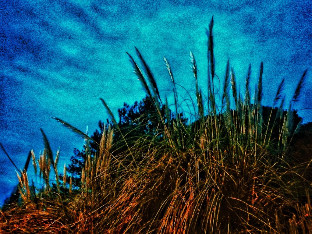 Photo retouchée - S.K.