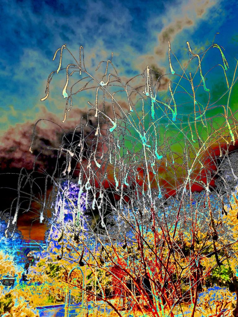 Photo retouchée - Spermatozoïdier