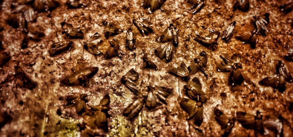 Photo retouchée - Fin d'un Mythe ou Fin des Mites