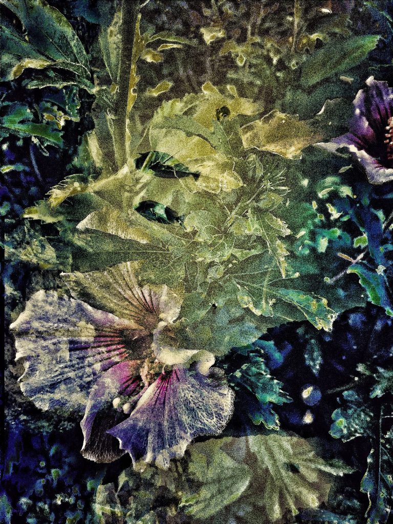 Photo retouchée - Poissons et Fleurs