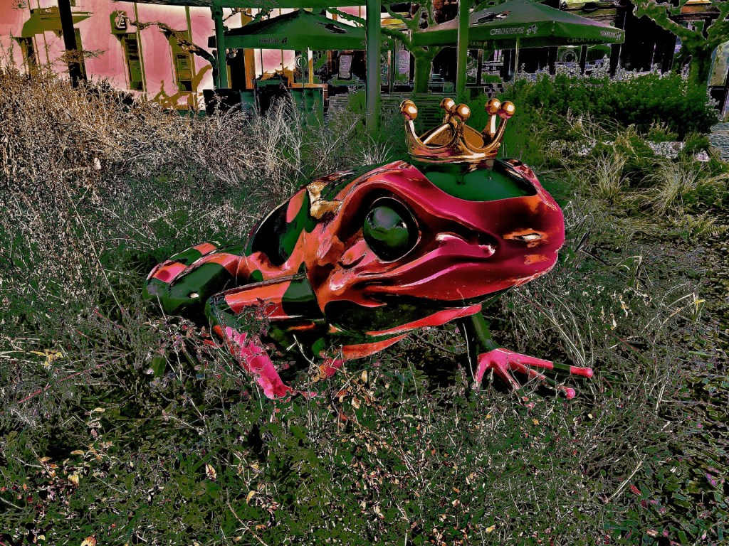 Photo retouchée - Frog