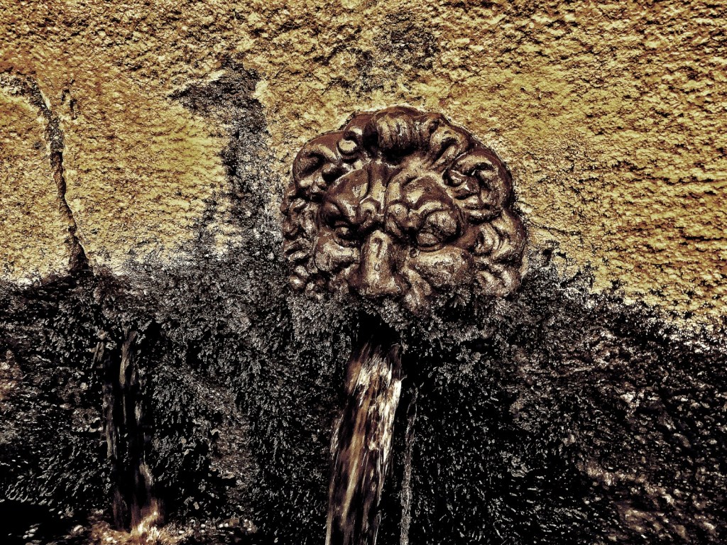 Photo retouchée - Joe The Lion