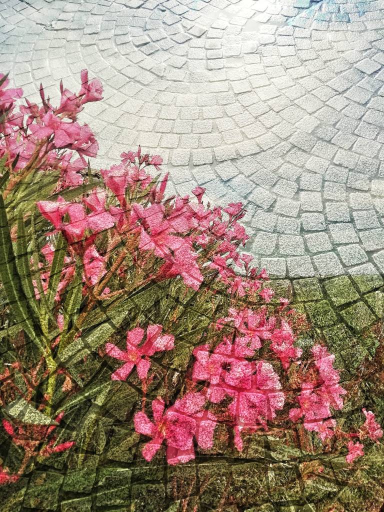 Photo retouchée - La Ville et les Champs