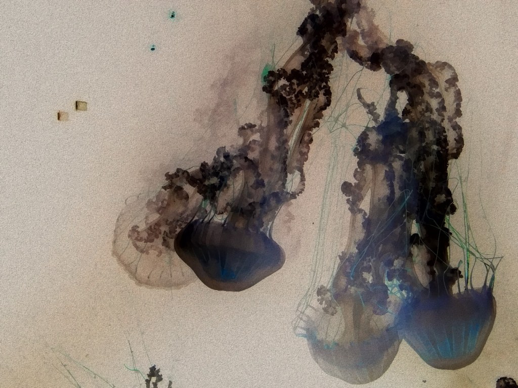 Photo retouchée - Marmokaz