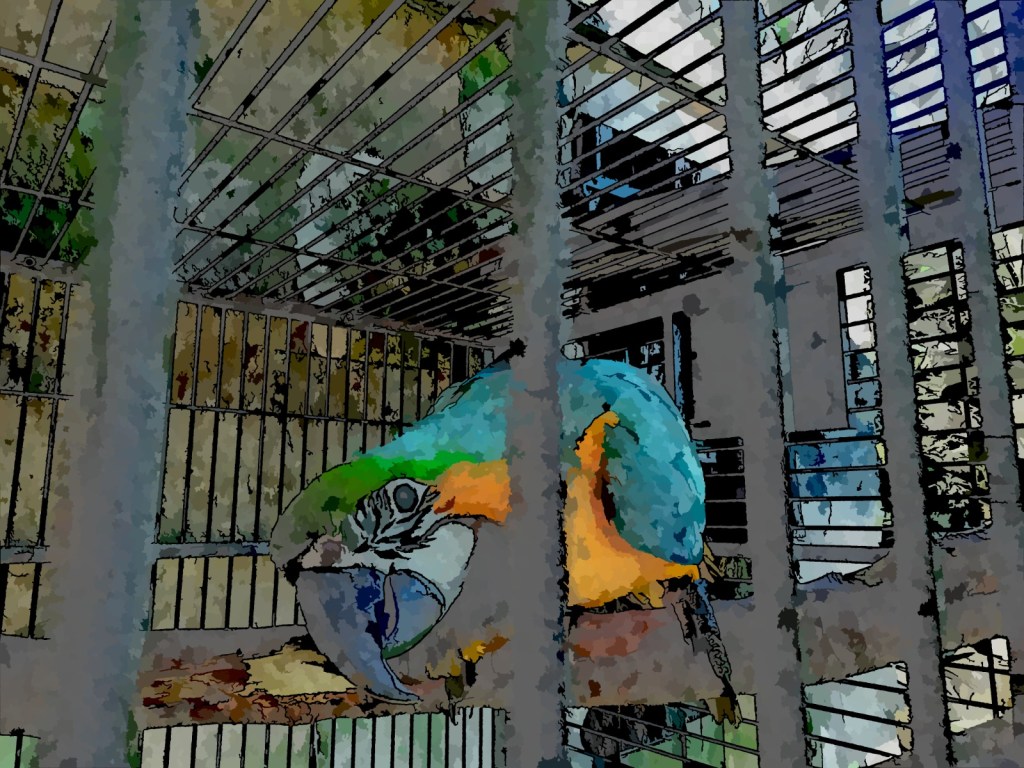 Photo retouchée - Nana voudrait sortir