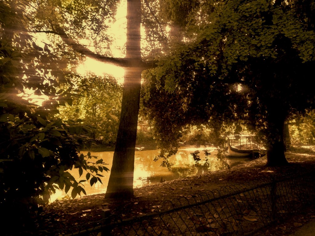 Photo retouchée - Petit Mousse Matinal