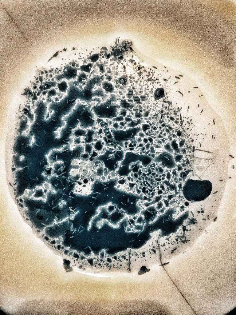 Photo retouchée - Planète Terre, An 3025