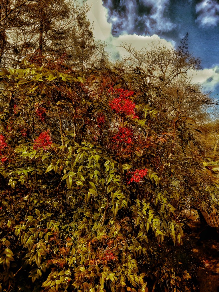 Photo retouchée - Presque le Printemps