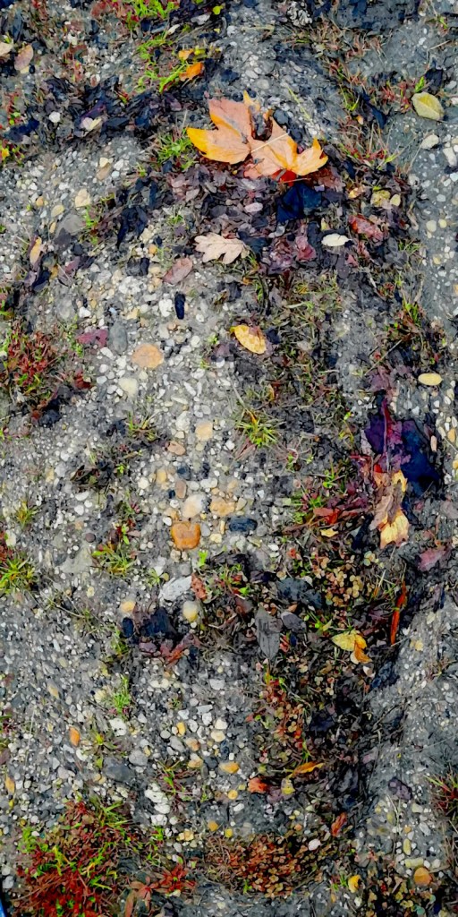 Photo retouchée - Sous nos Pieds