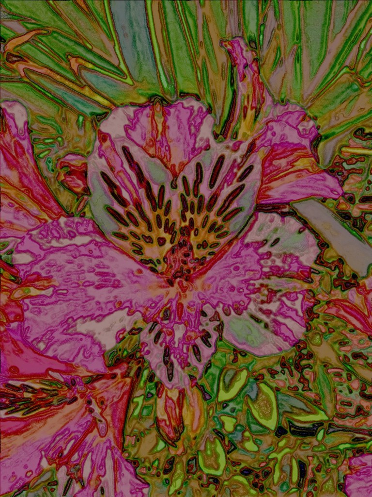 Photo retouchée - Tranche Végétale